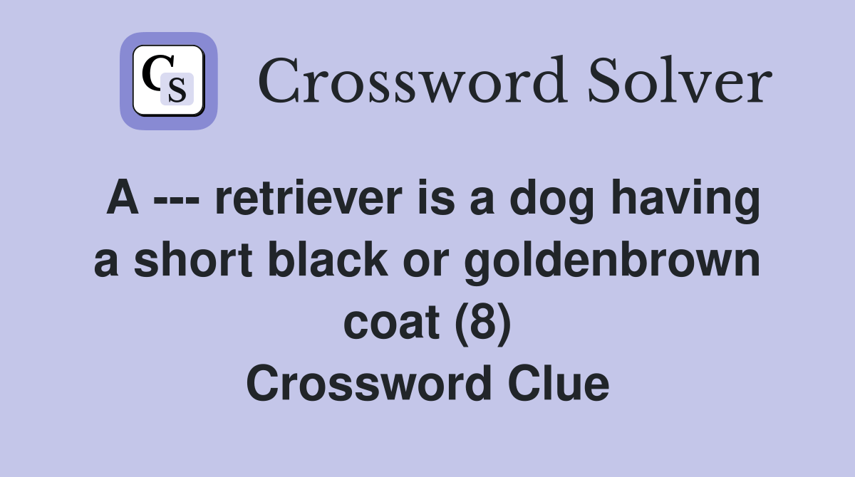 A retriever is a dog having a short black or goldenbrown coat (8